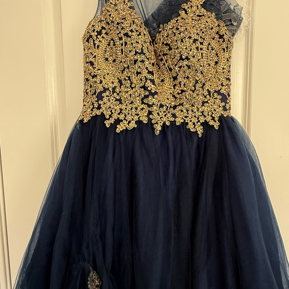Elegant Navy and Gold Lace Dress